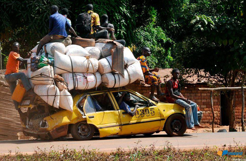 post-10233-0-63349300-1357832052_thumb.j