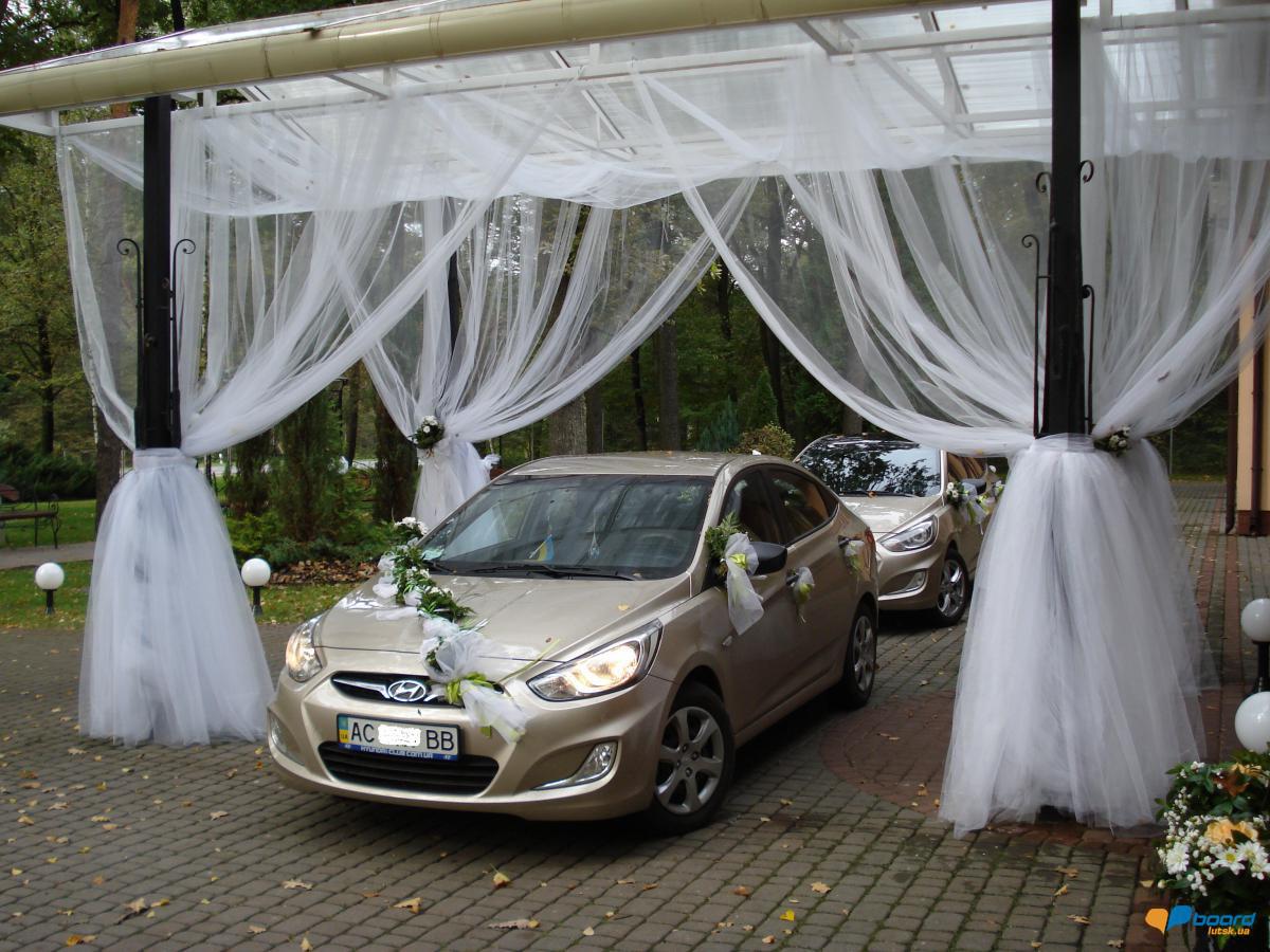 post-13421-0-66899200-1359119060_thumb.j