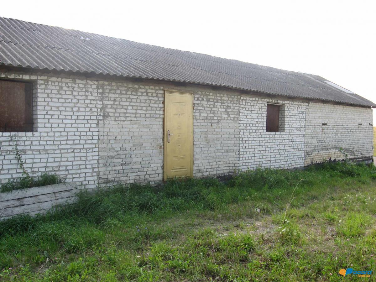 post-14481-0-85048900-1359459194_thumb.j