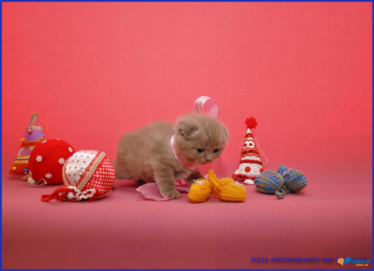 post-14803-0-43308500-1358611752_thumb.j