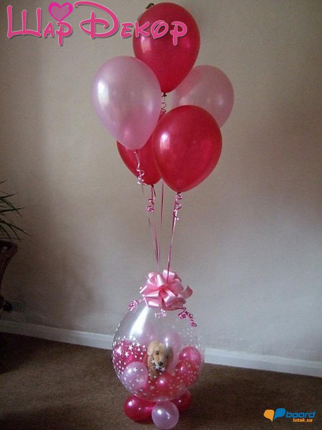 post-16170-0-25208200-1359162814_thumb.j