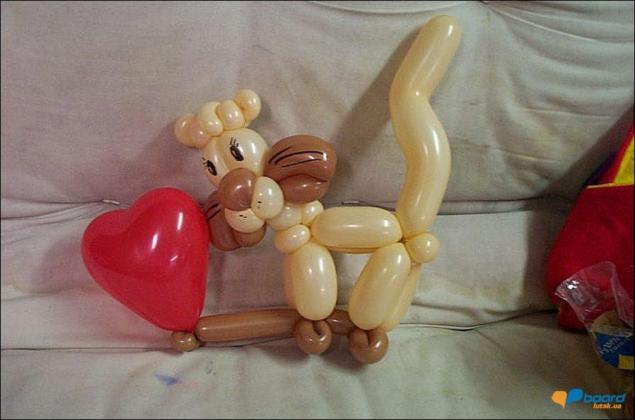 post-16170-0-81421300-1359031829_thumb.j