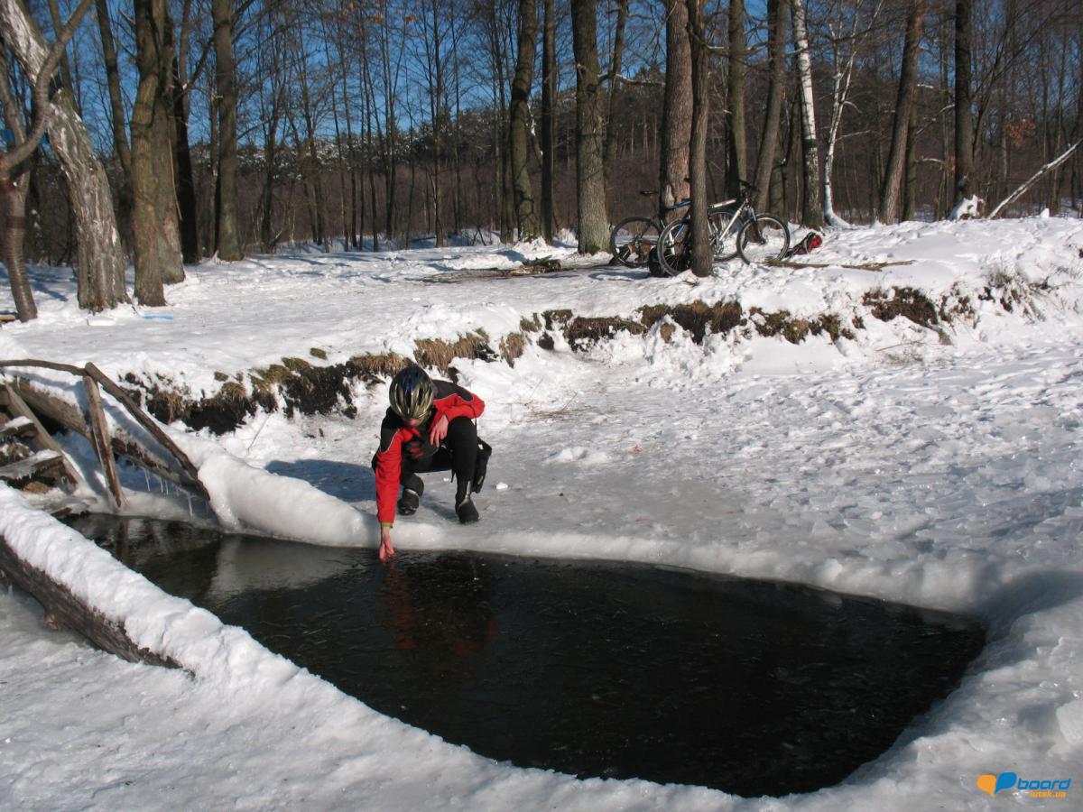 post-1667-0-57712000-1359301466_thumb.jp