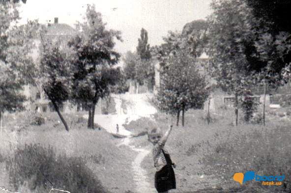 post-1719-0-01860500-1359362593_thumb.jp