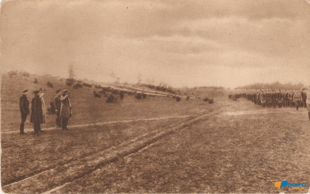 post-18283-0-91687500-1359639781_thumb.j