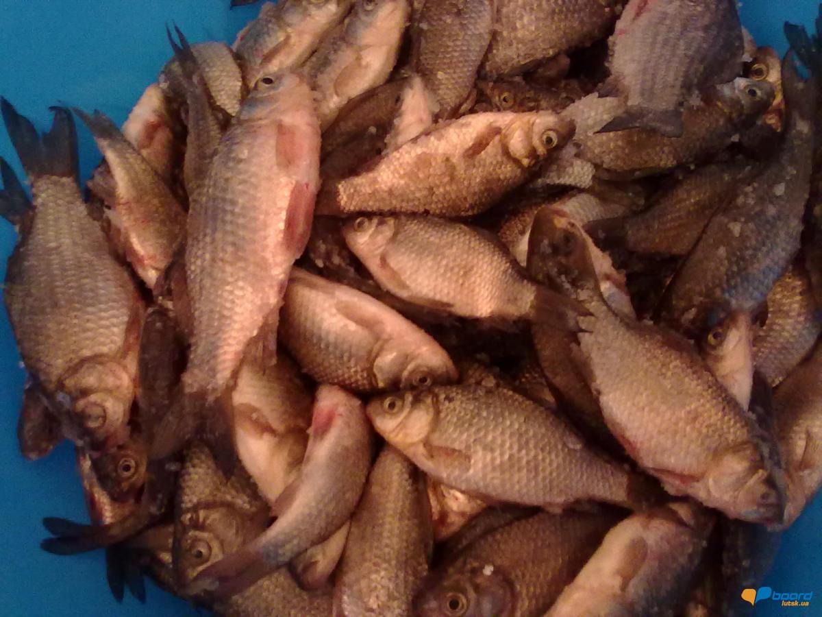 post-18712-0-37023000-1358540412_thumb.j