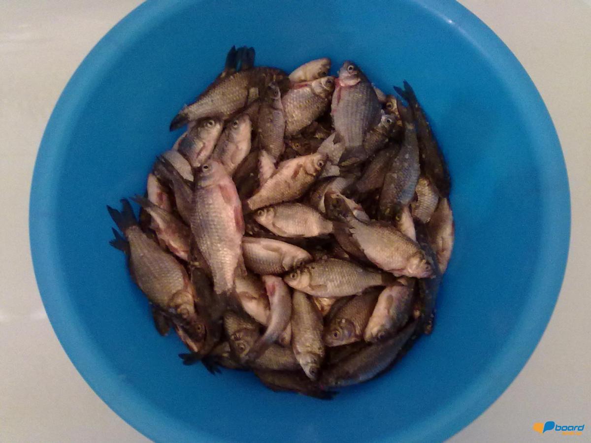 post-18712-0-64791600-1358540414_thumb.j