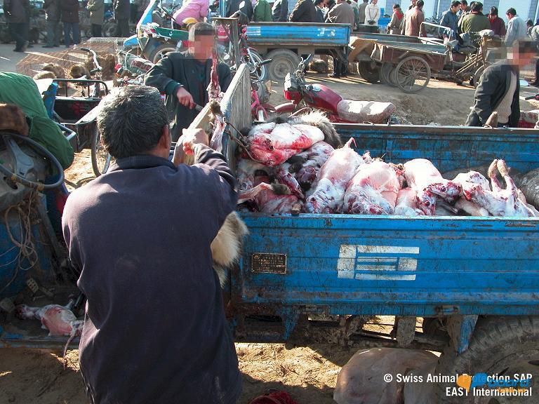 post-19118-0-36887900-1358546393_thumb.j