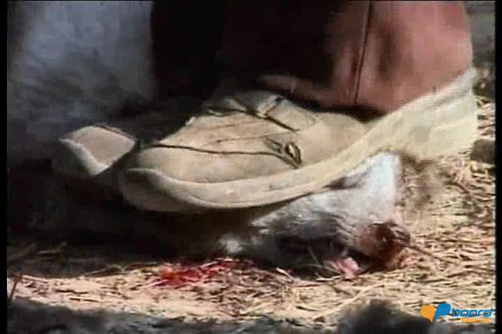 post-19118-0-40579100-1358546422_thumb.j