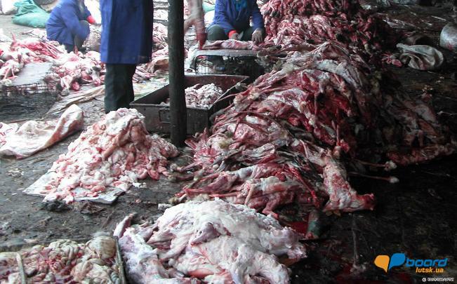 post-19118-0-51957700-1358546388_thumb.j