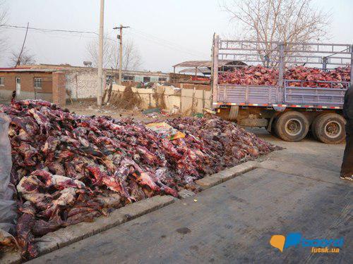 post-19118-0-57541900-1358546399_thumb.j