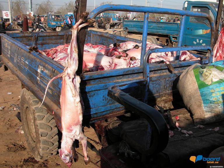 post-19118-0-88625100-1358546382_thumb.j