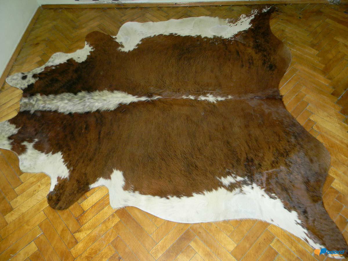 post-19424-0-25509200-1359473979_thumb.j