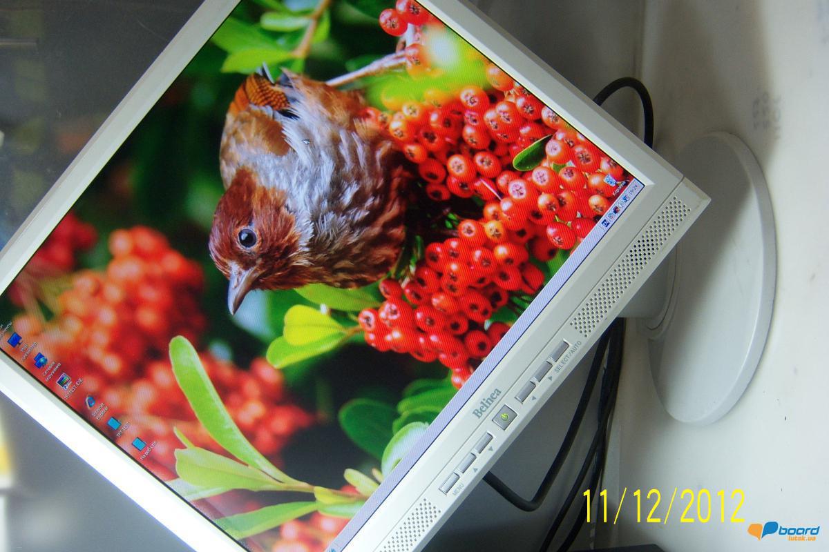 post-19737-0-18460800-1358369663_thumb.j