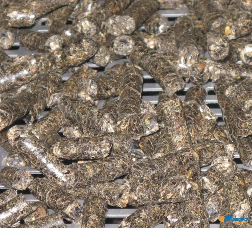 post-19915-0-16646600-1359021996_thumb.j