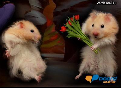 post-2282-0-87190400-1358934393_thumb.jp