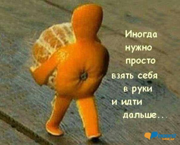 post-2519-0-48661000-1358852445_thumb.jp