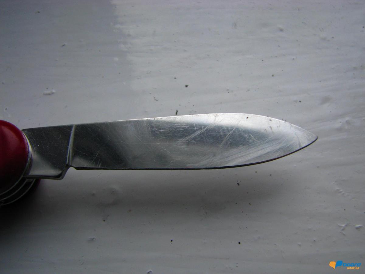 post-4361-0-20536500-1358896786_thumb.jp