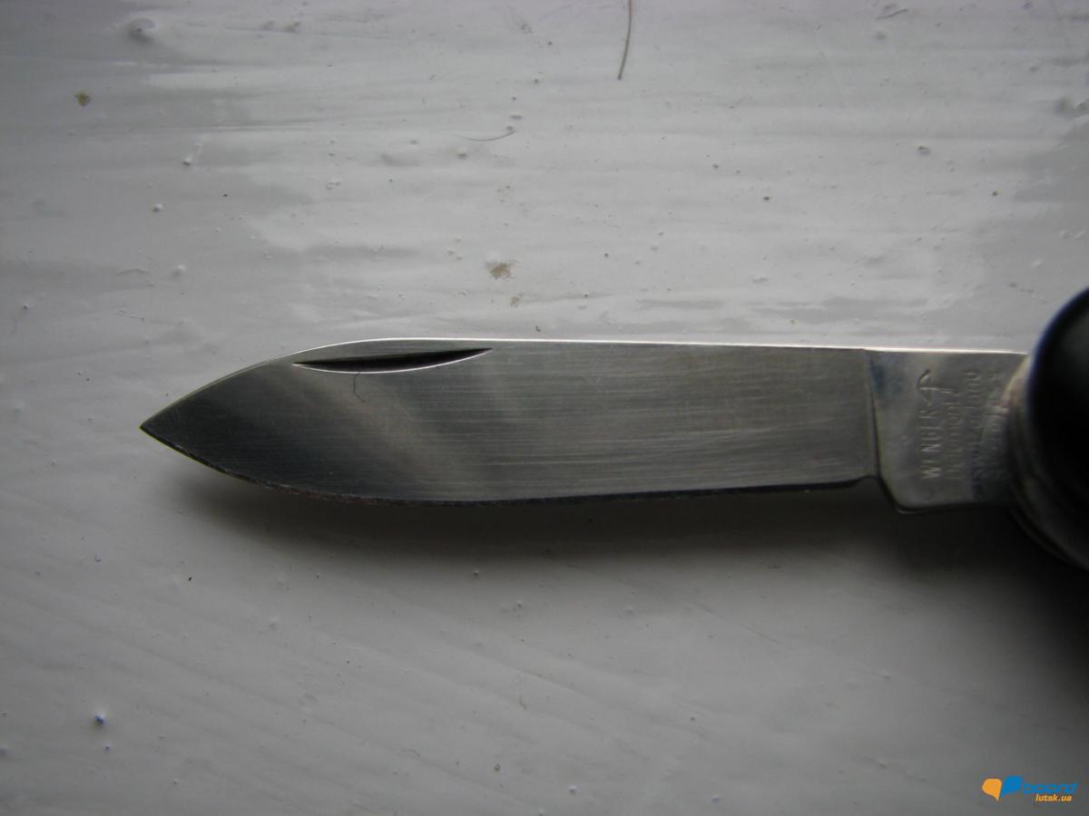 post-4361-0-61102600-1358898775_thumb.jp