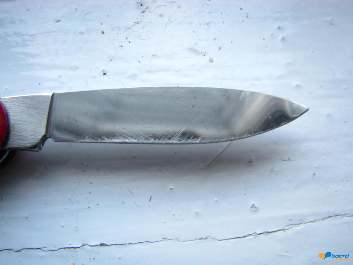 post-4361-0-93476000-1358895290_thumb.jp