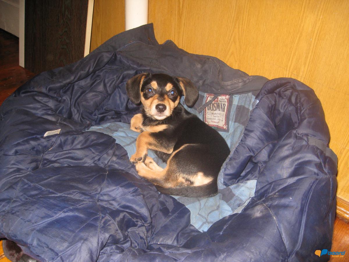 post-6591-0-27315800-1357851868_thumb.jp