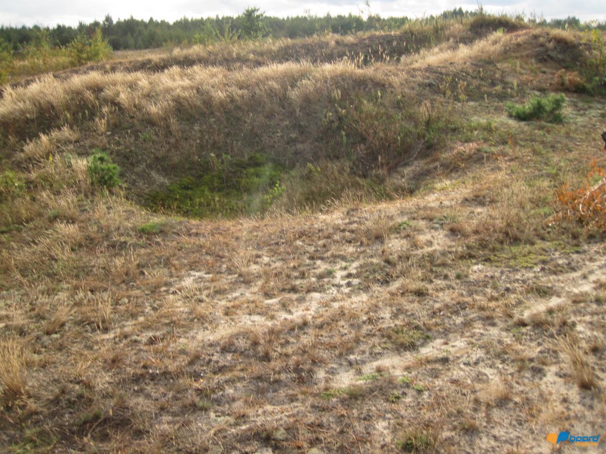 post-6657-0-03137900-1359371599_thumb.jp