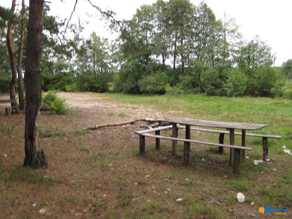 post-6657-0-05149400-1359619792_thumb.jp