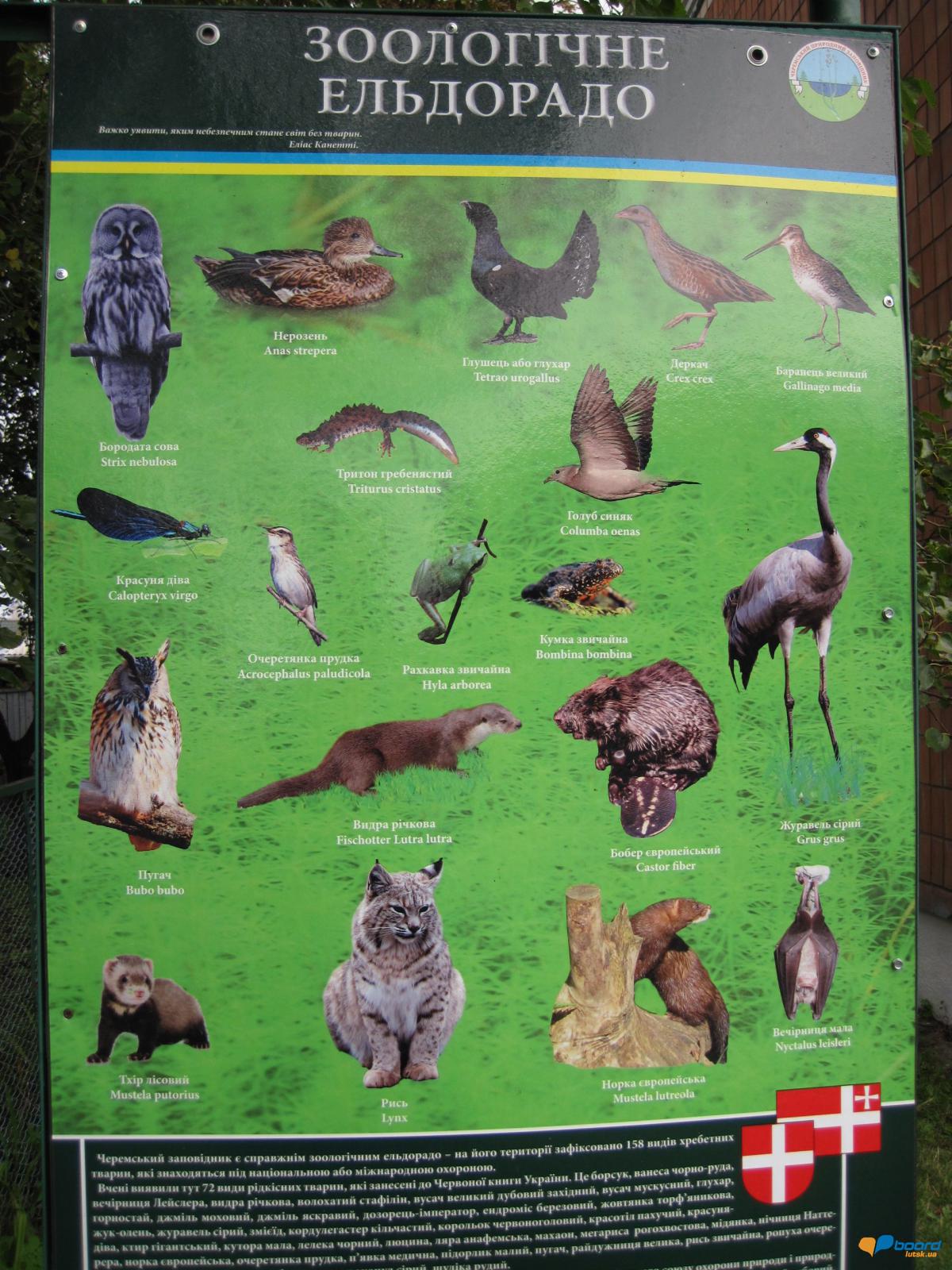 post-6657-0-07812000-1359546233_thumb.jp