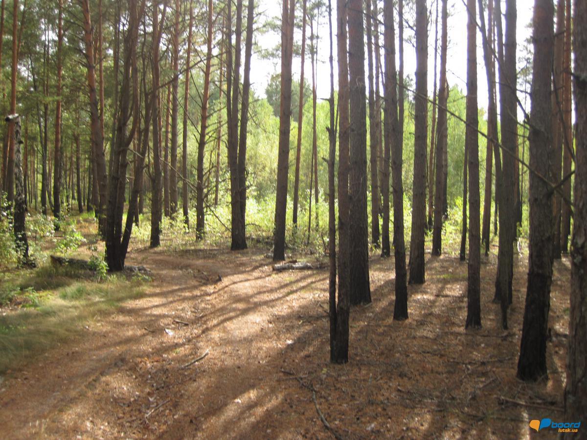 post-6657-0-09884400-1359371236_thumb.jp