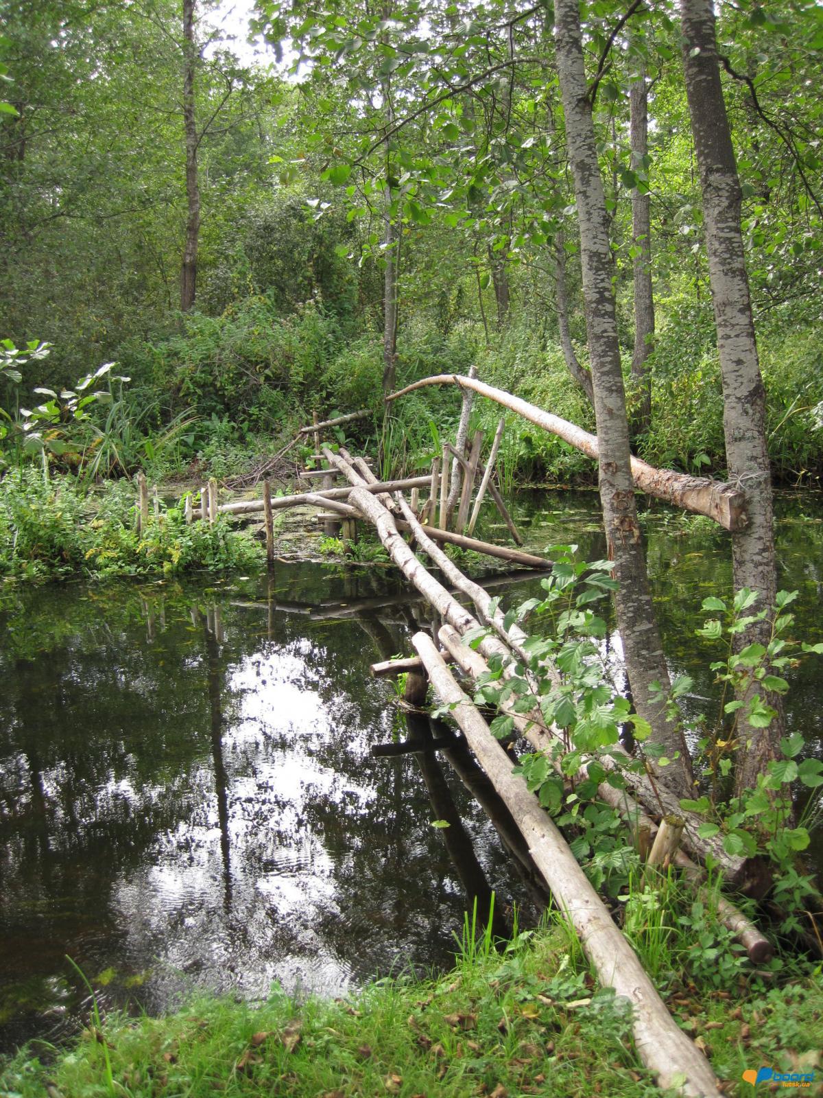 post-6657-0-10769700-1359546465_thumb.jp