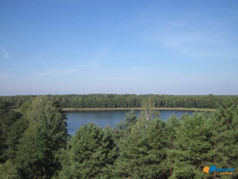 post-6657-0-14442800-1359375765_thumb.jp