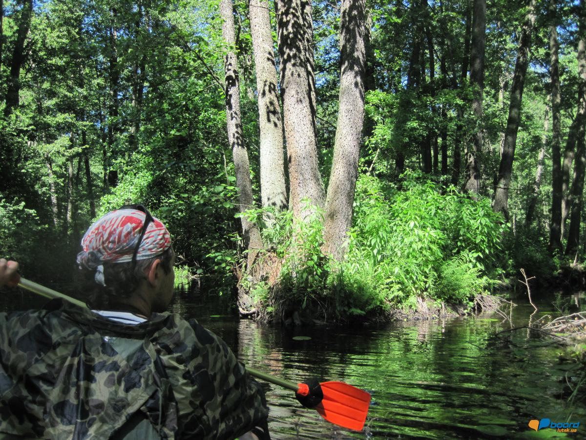 post-6657-0-15035300-1359378674_thumb.jp