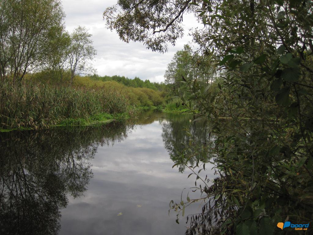 post-6657-0-15510000-1359619780_thumb.jp