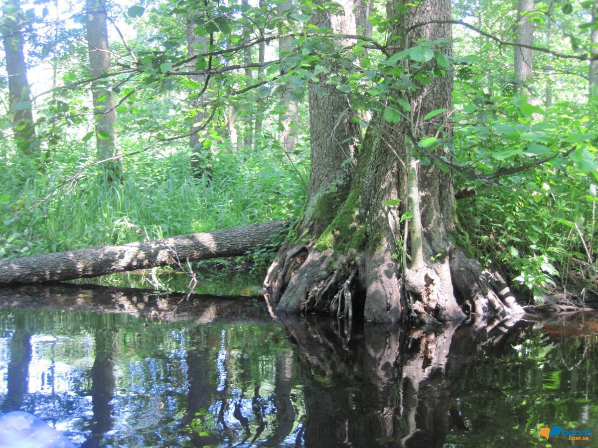 post-6657-0-16781100-1359547331_thumb.jp