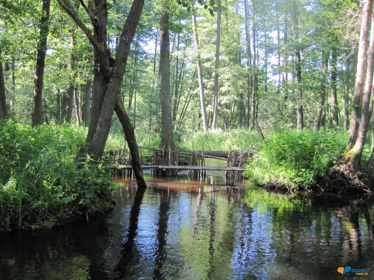 post-6657-0-17182400-1359379087_thumb.jp