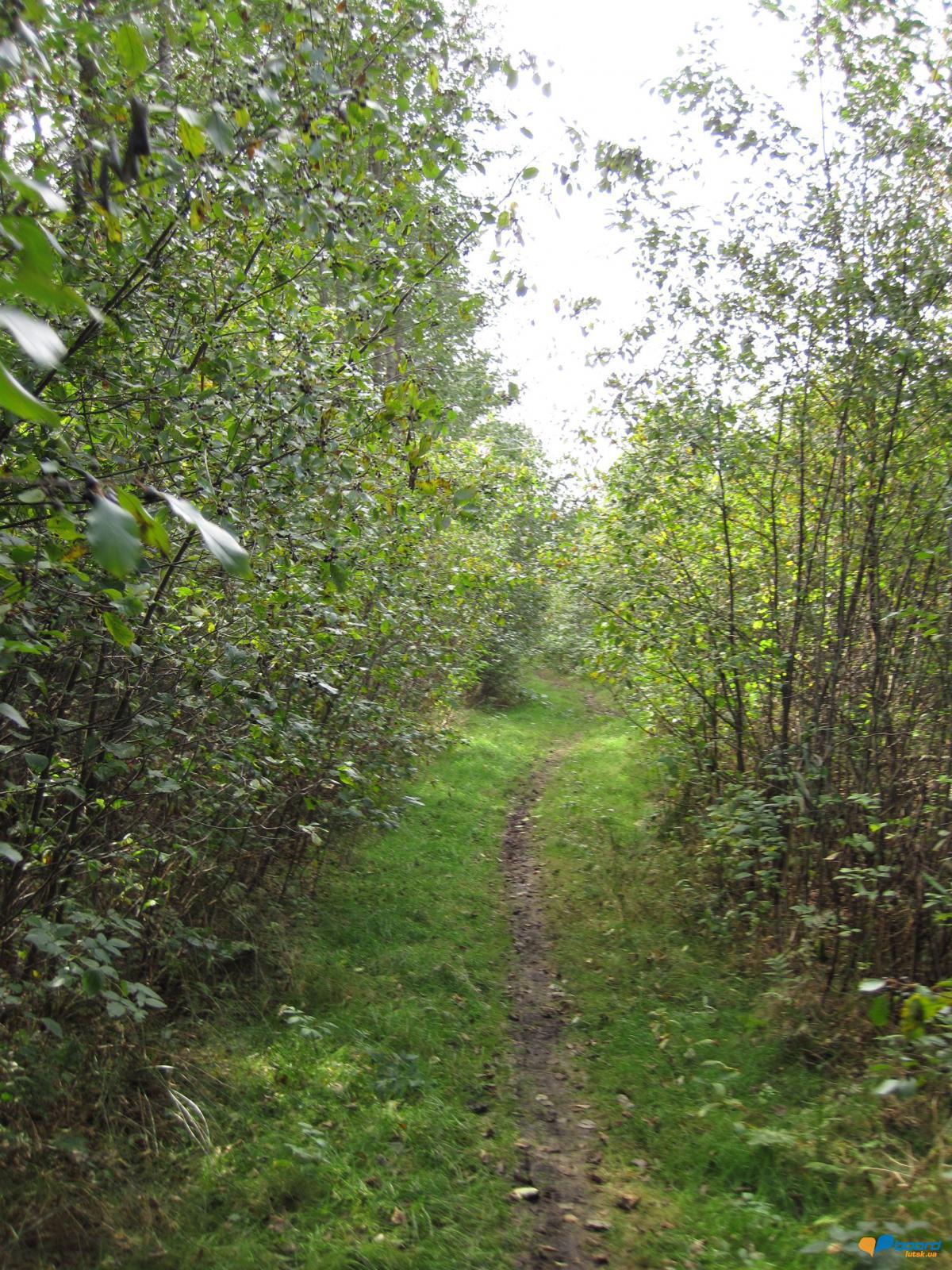 post-6657-0-17441400-1359546551_thumb.jp