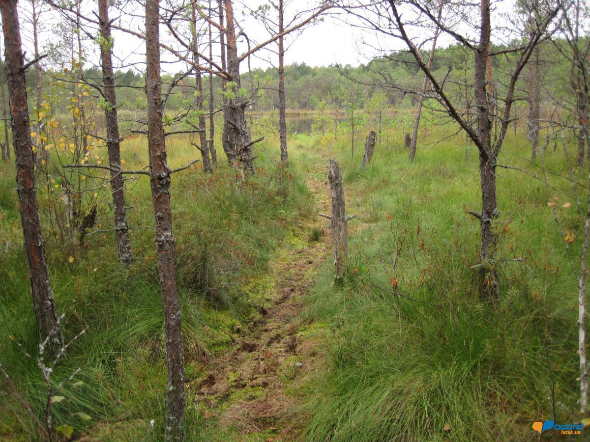 post-6657-0-17667600-1359370902_thumb.jp