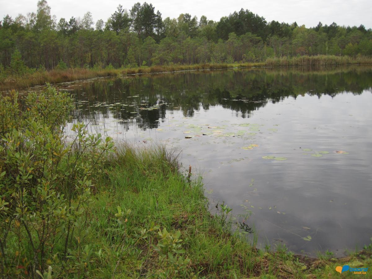 post-6657-0-21233400-1359370991_thumb.jp