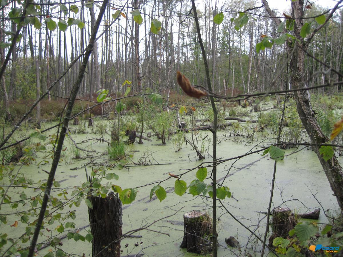 post-6657-0-25979000-1359371103_thumb.jp