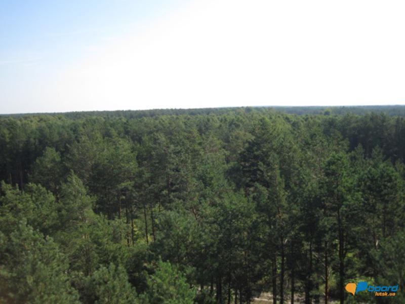 post-6657-0-27774800-1359375951_thumb.jp