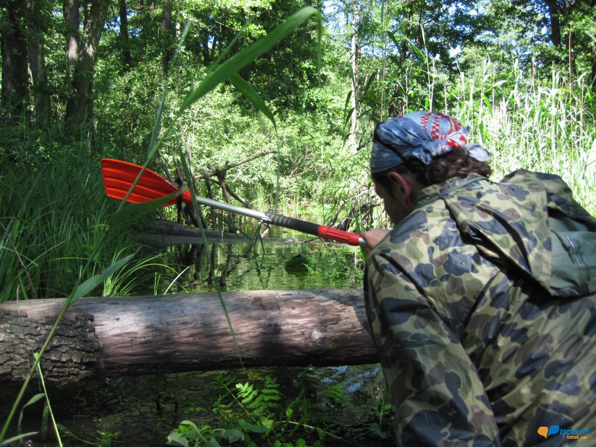 post-6657-0-29275900-1359378611_thumb.jp