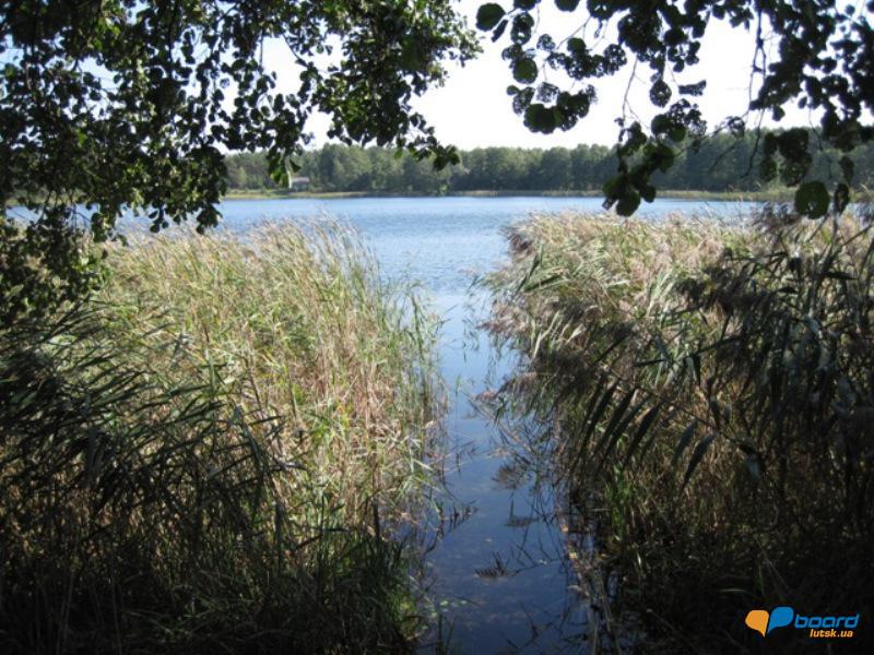 post-6657-0-32702600-1359375943_thumb.jp