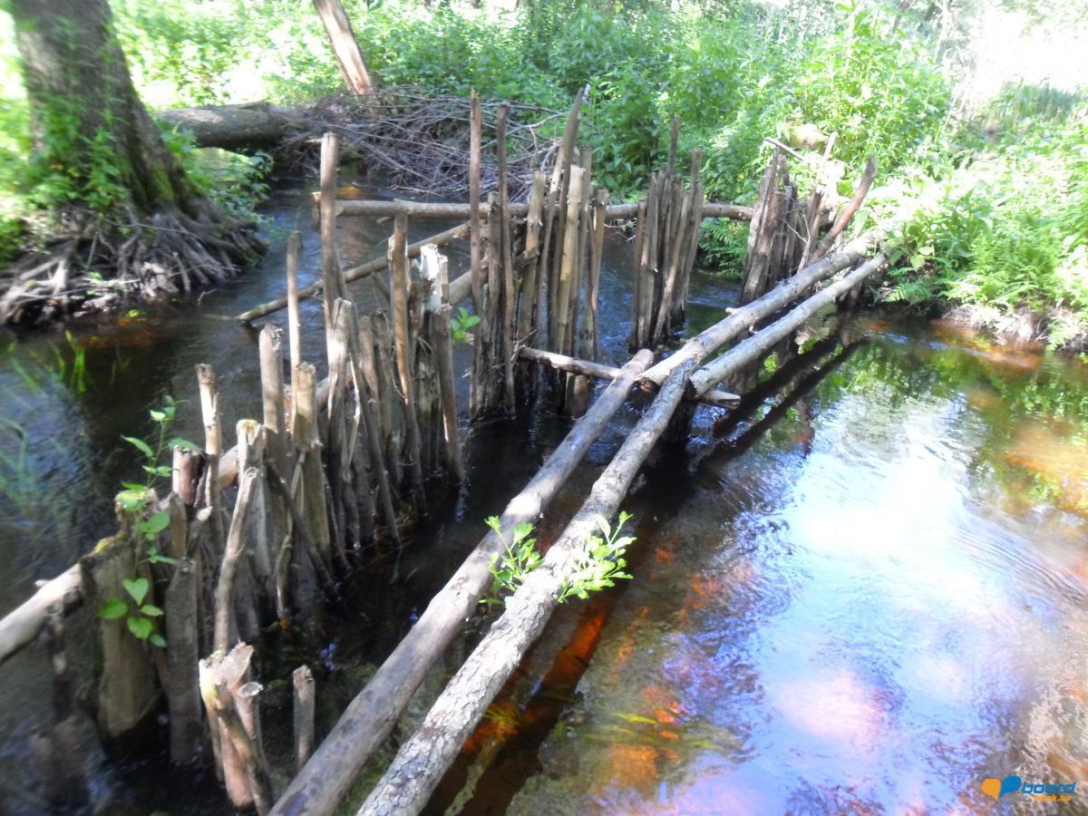 post-6657-0-33486800-1359378397_thumb.jp