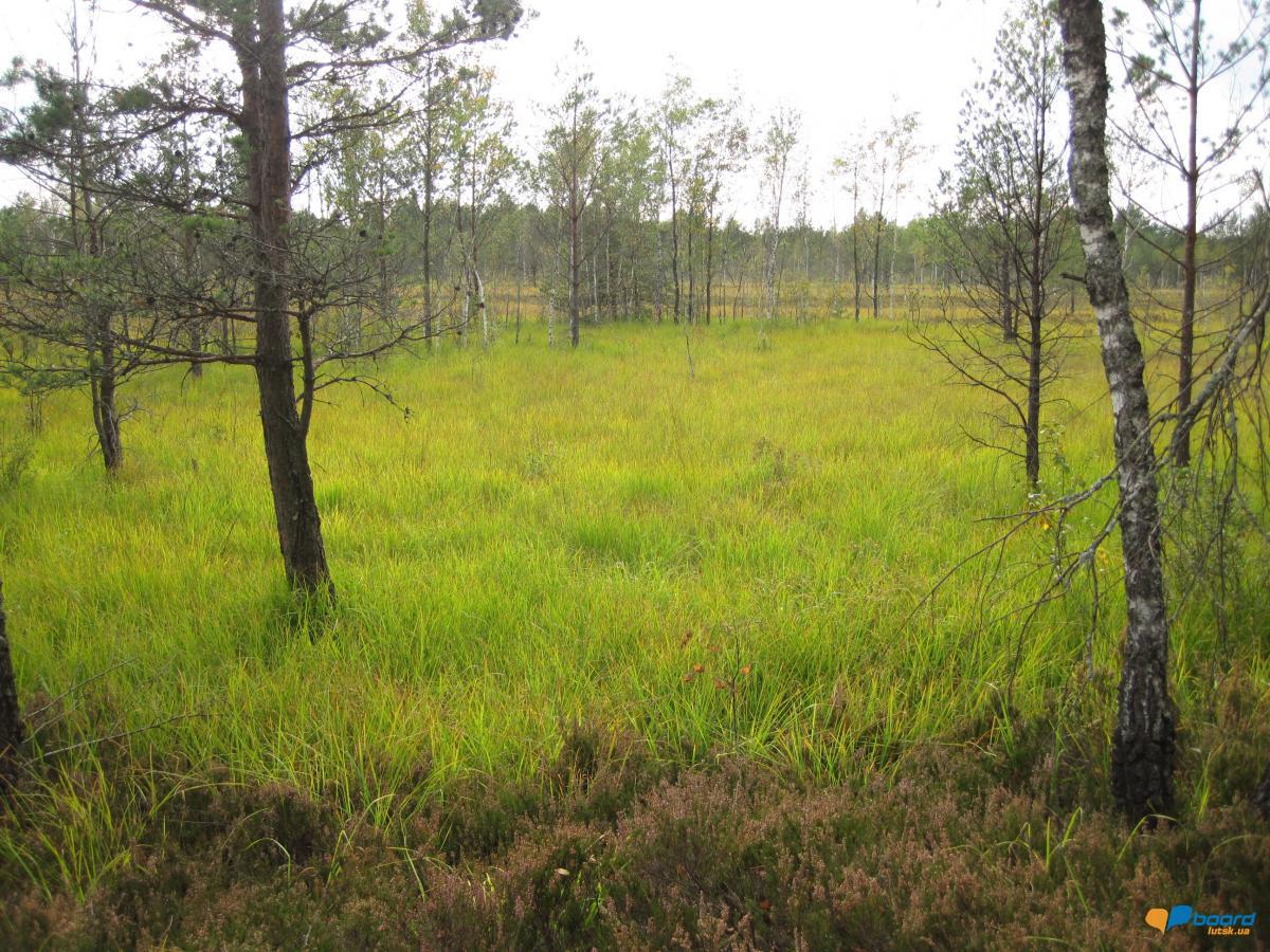 post-6657-0-35962900-1359370841_thumb.jp