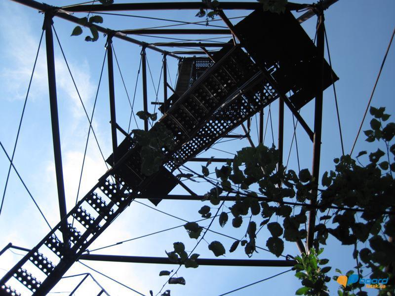 post-6657-0-37014600-1359375956_thumb.jp