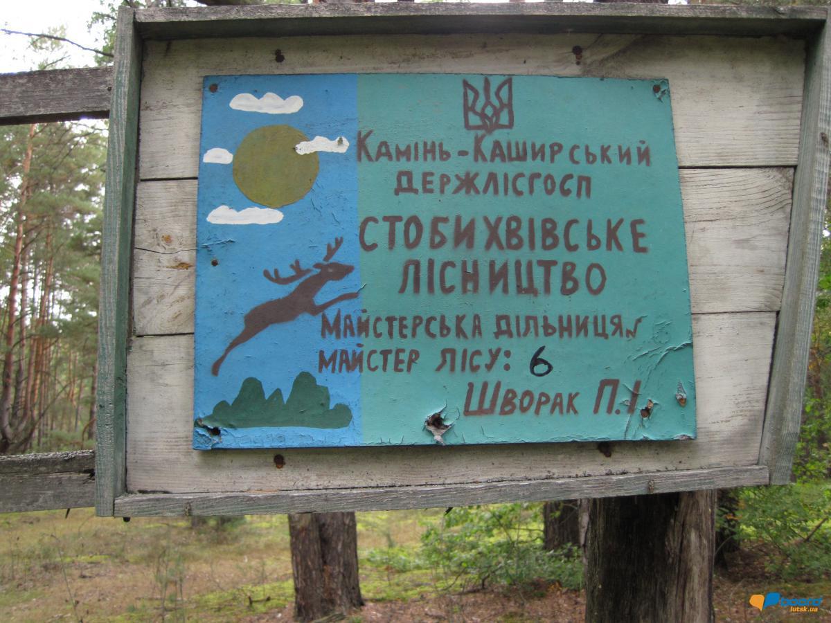 post-6657-0-44752800-1359546856_thumb.jp