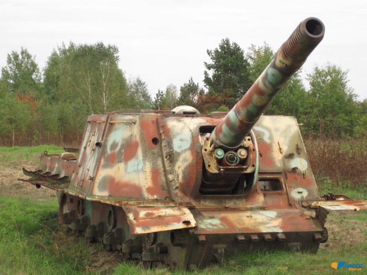 post-6657-0-48187500-1359372381_thumb.jp