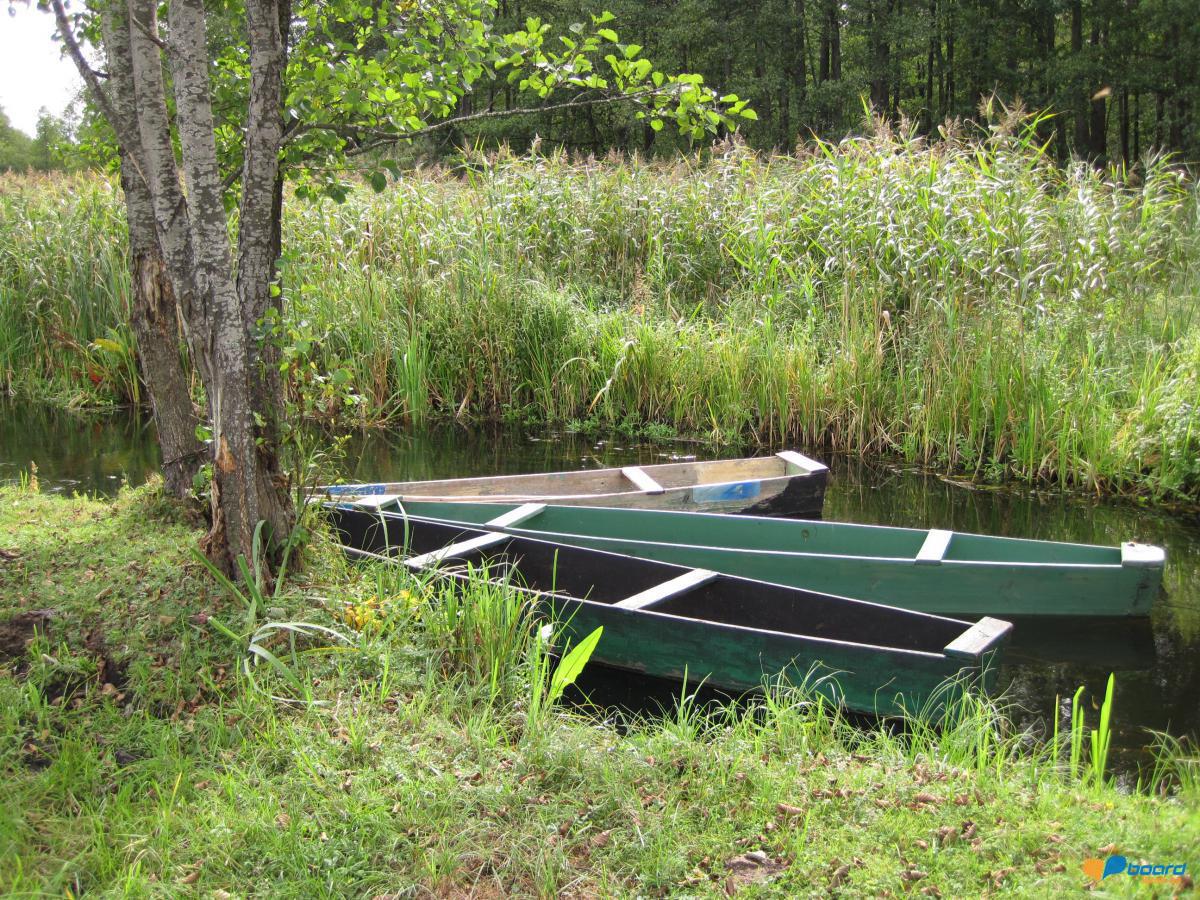 post-6657-0-48345800-1359546424_thumb.jp