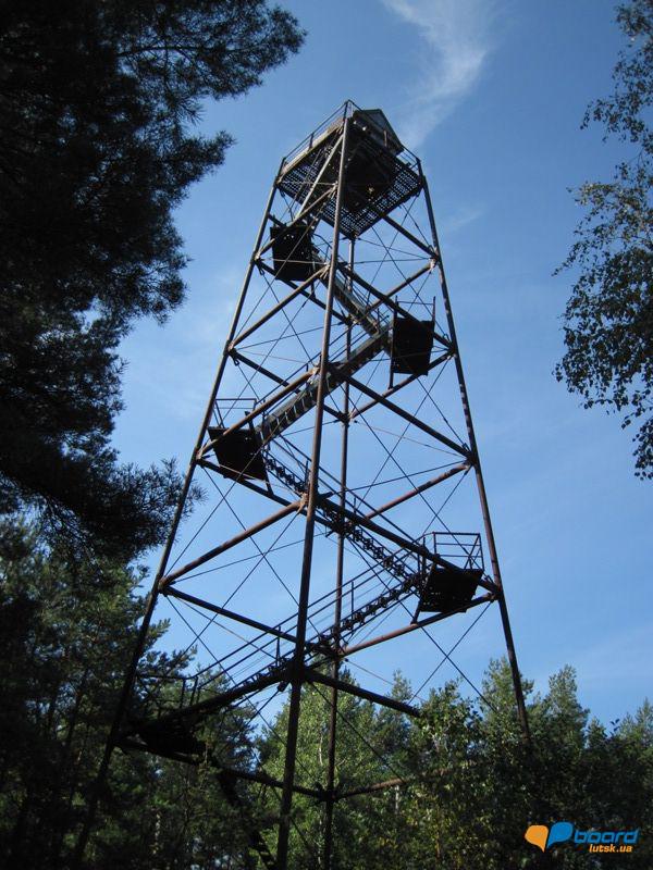 post-6657-0-55262400-1359375757_thumb.jp