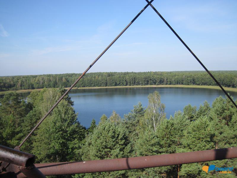 post-6657-0-56289800-1359375773_thumb.jp